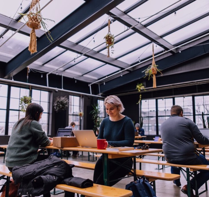 3 people sitting at picnic tables inside a greenhouse doing work on laptops. The space is well-lit and has plants hanging from the eaves.